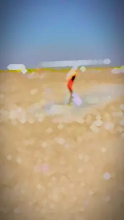 Cricket shot