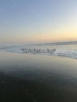“He’s just a dog”