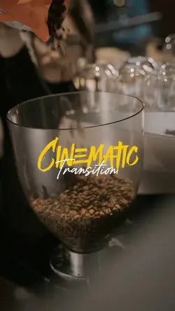 CINEMATIC TRANSITION