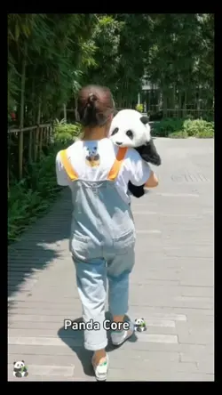 panda core