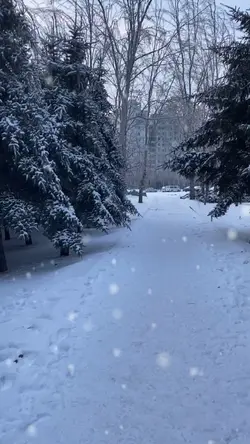 snowly