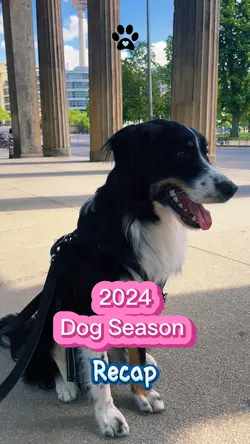 2024 Dog Season