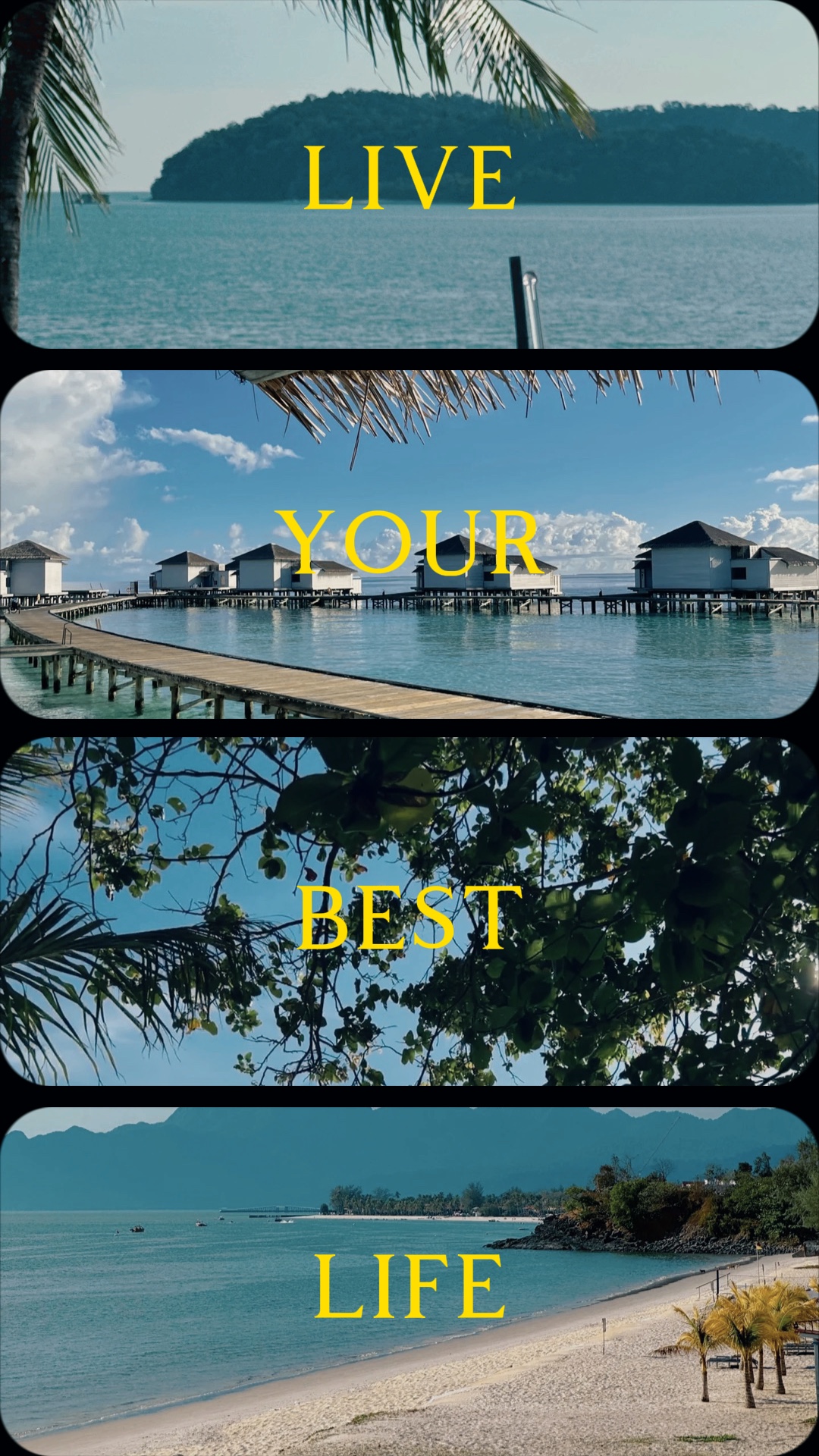 Live your best life