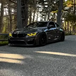 BMW_freeedit
