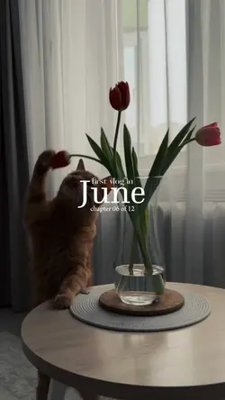 first vlog in june 