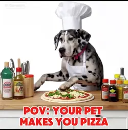Pizza Maker Pet