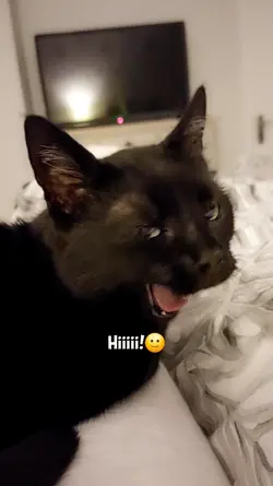 Depresso espresso