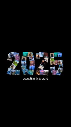 2025年まとめ 27枚