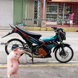 mrmamaw
