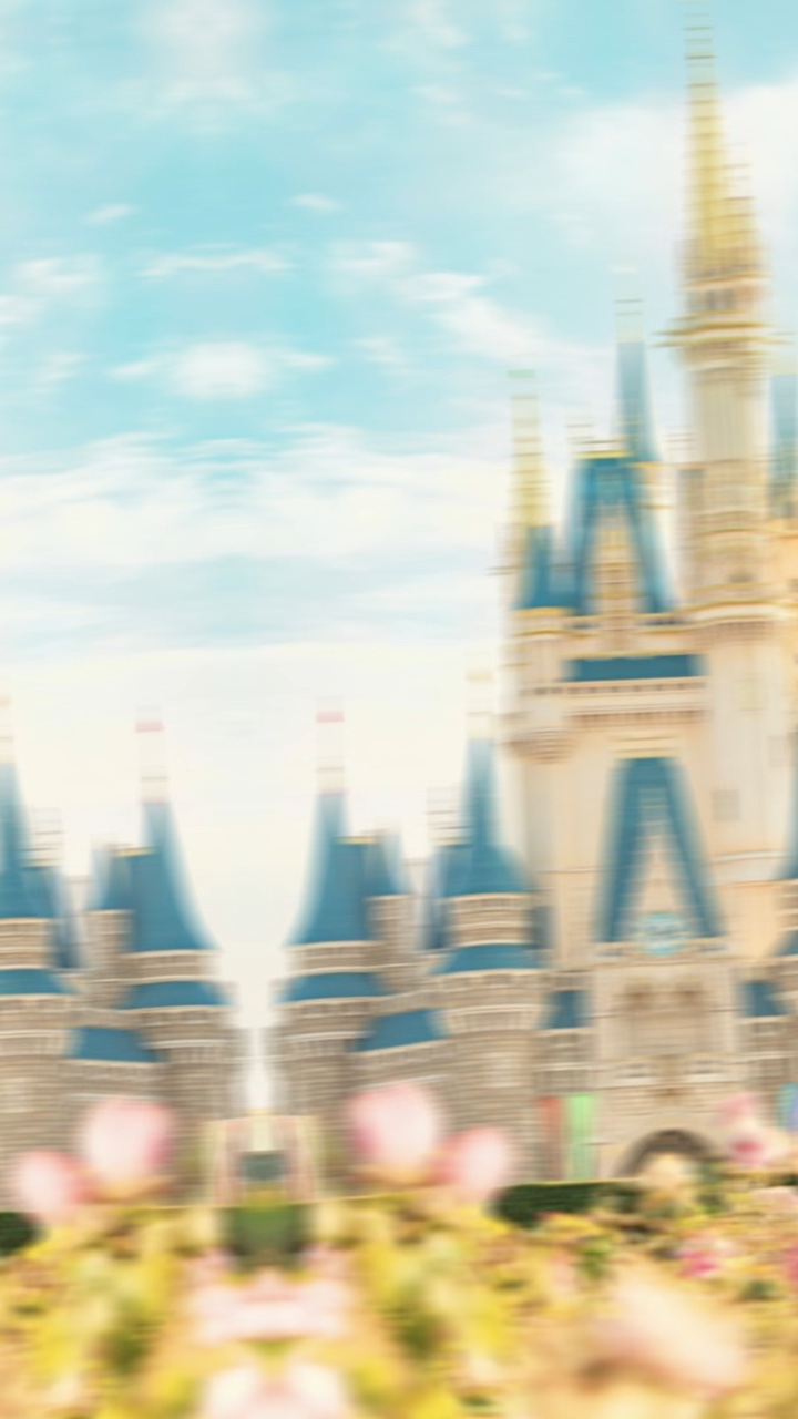 小さな世界🌏💗