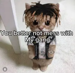 dont mes with my gng