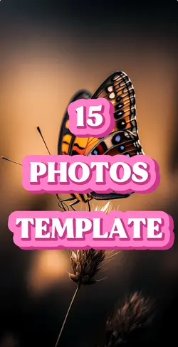 15 Photos Template 