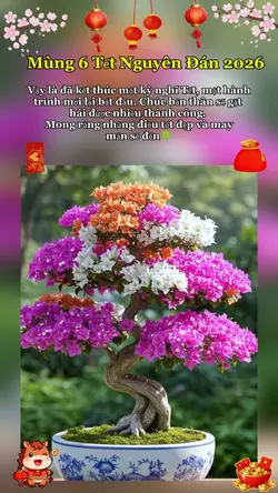 Mùng 6 Tết