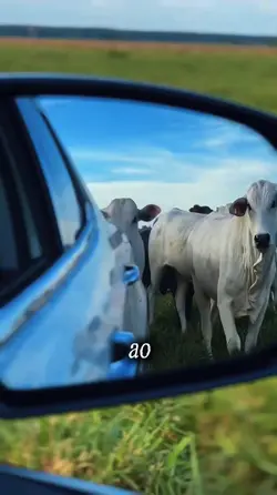 Agro