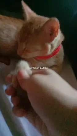 sudah 2 thn km pergi