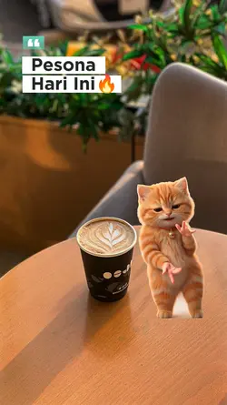 trend kucing joget