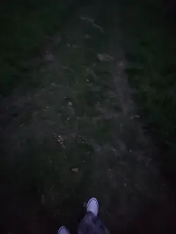 Guitar ;-;