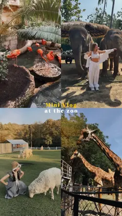 Vlog at the zoo