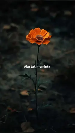 aku tak meminta