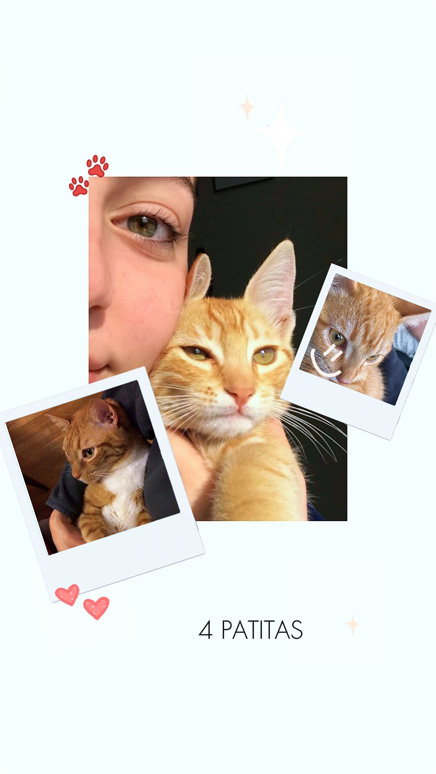 Amigo von 4 Terrassen