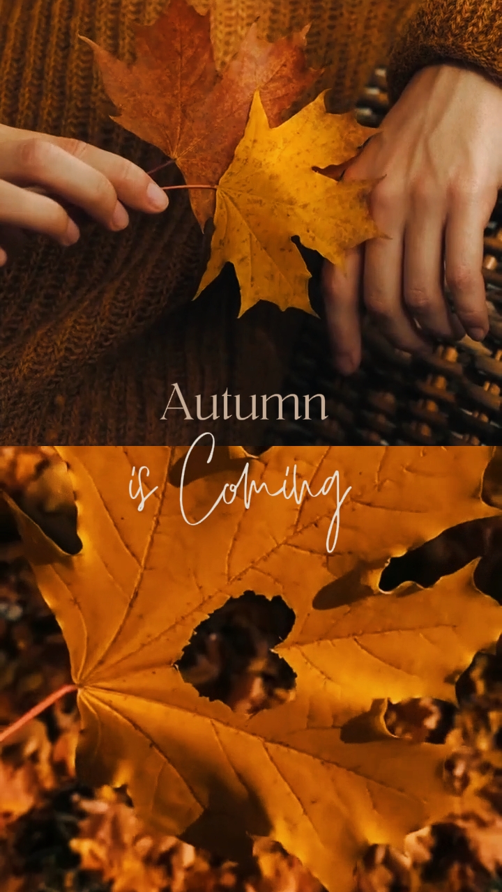 Se acerca el otoño 