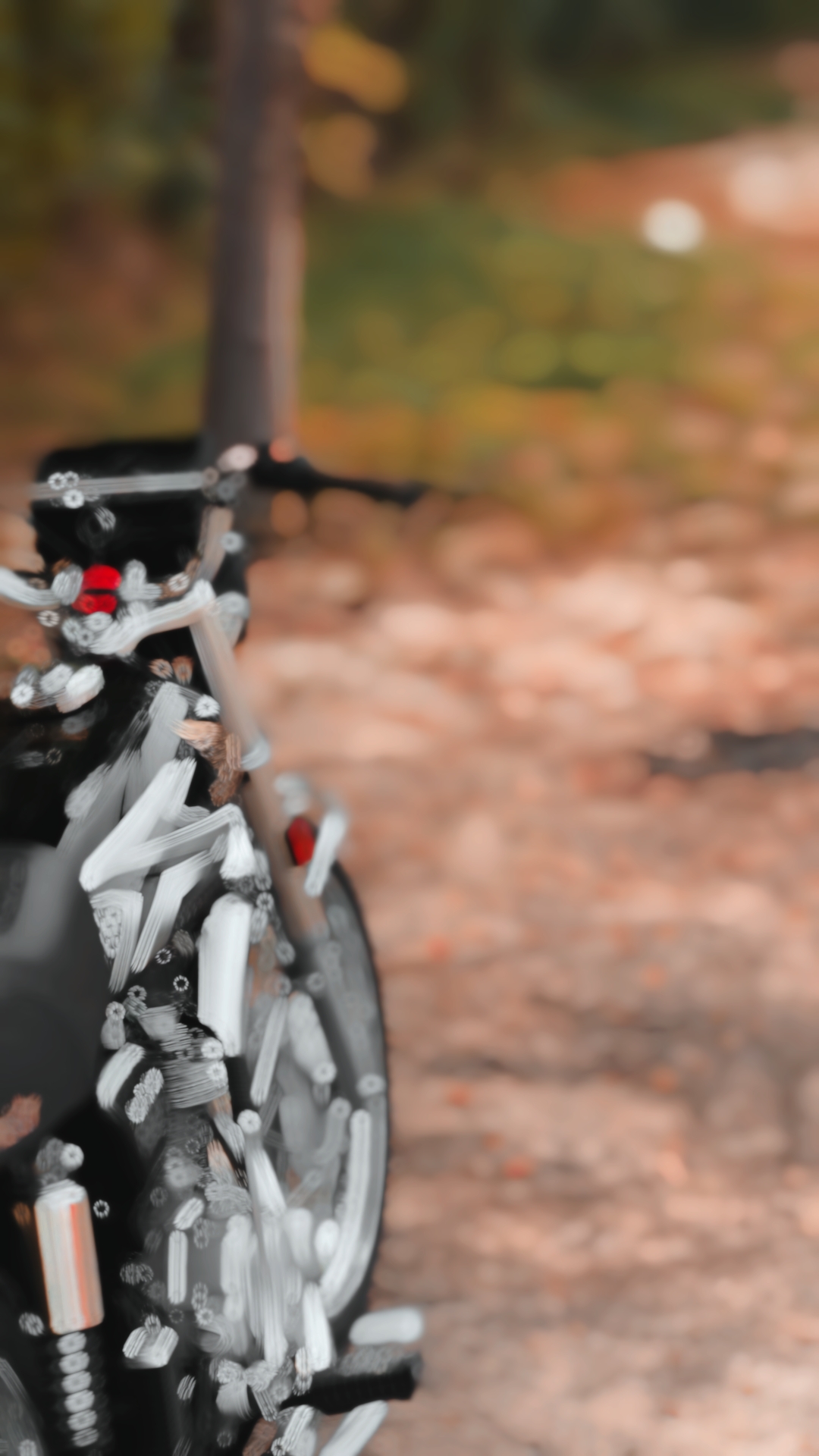 Bike Edits