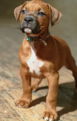 I wanna be ur master