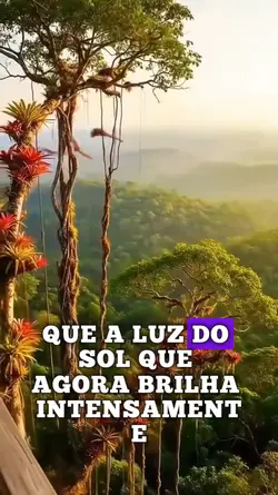Boa Tarde