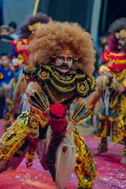 kebo giro wcb🔥🔥