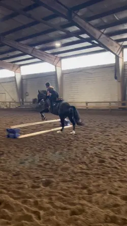 Seiger❤️❤️❤️