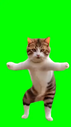 Cat dancing meme