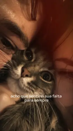 Summertime Sadness