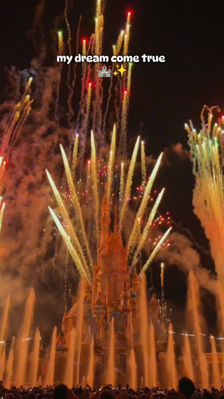 Disneyland 