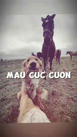 2 ẢNH GIẬT NHẸ