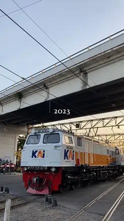 2023 per mount recap