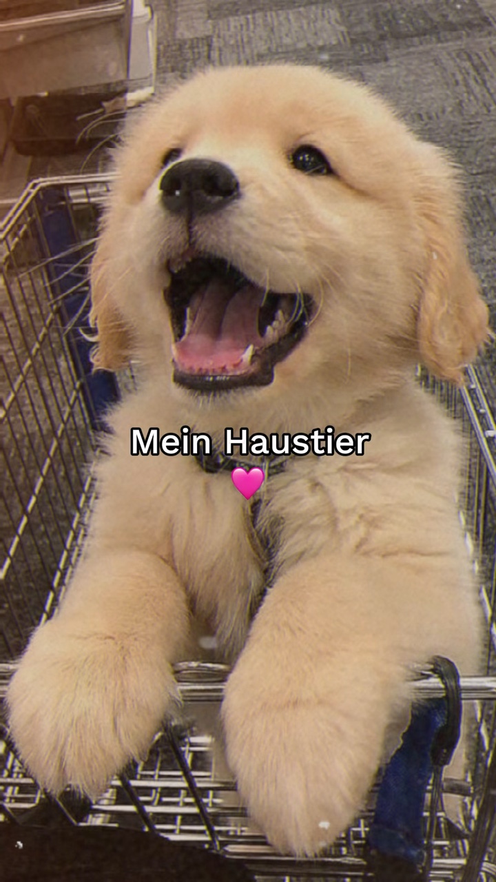 Mein Haustier 🩷