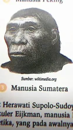 MANUSIA SUMATRA