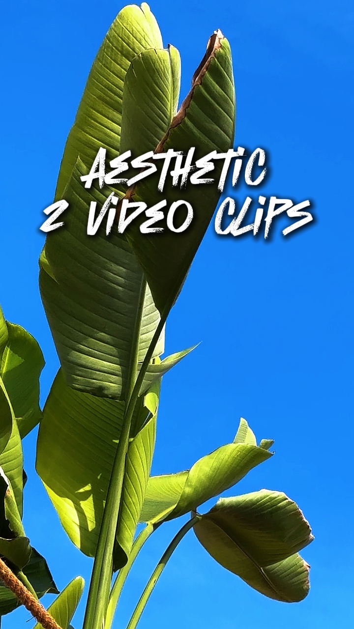 Aesthetic 2 clips