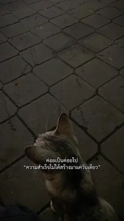 ค่อยเป็นค่อยไป