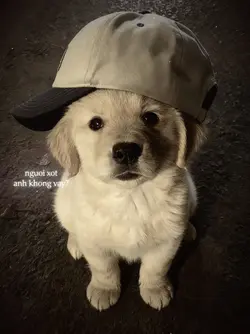 LIỆU CÓ PHÚT GIÂY...