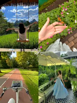 4 pics aesthetic 