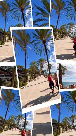 19 video or photo  |