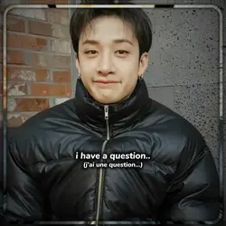 stray kids concer