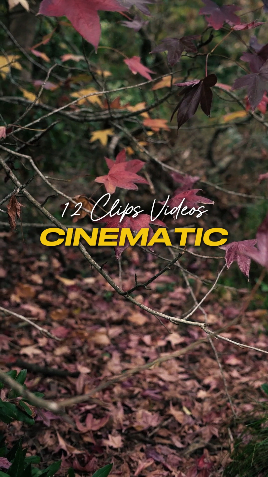 Cinématique 12 Vidéos