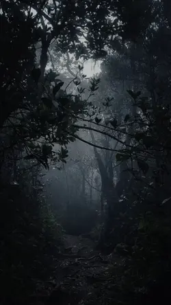 Petir Dalam Hutan