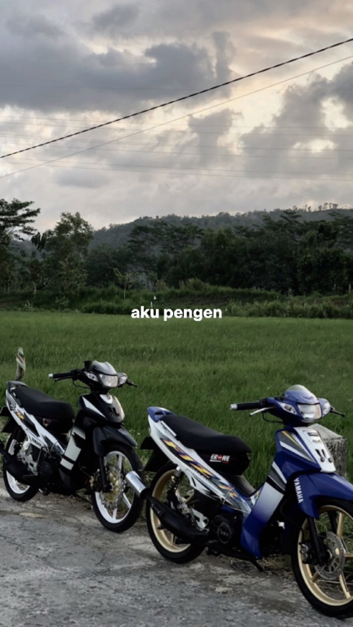 Aku pengen ro kowe