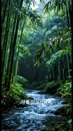 인도네시아에서 온 한국 노래