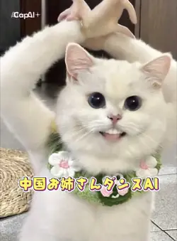 中国お姉さんダンスAI