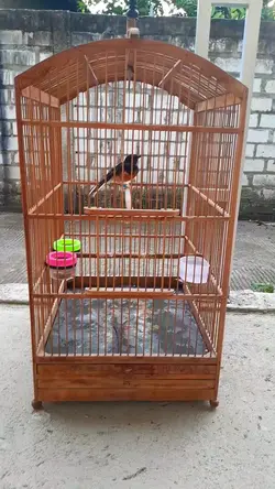 semua perawat