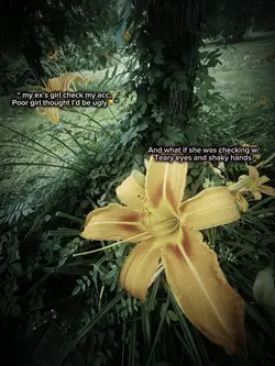 Like it’s bullying 😕